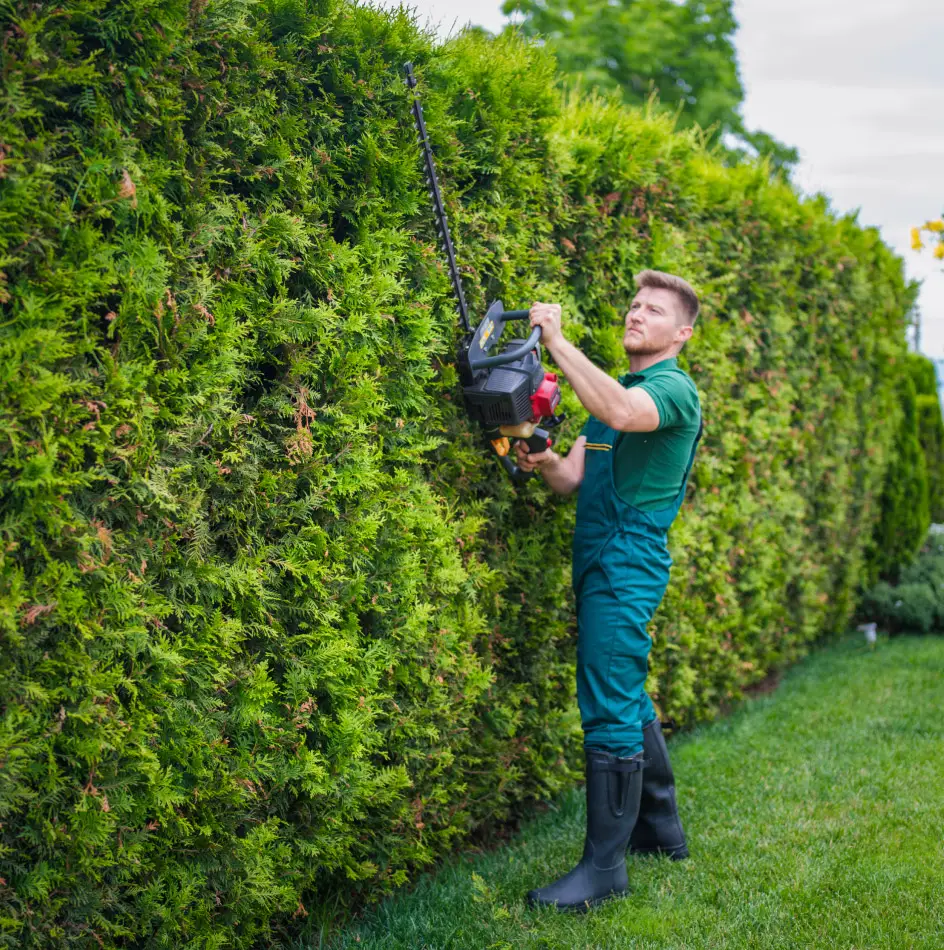 Commercial lawn care services in the Quad Cities